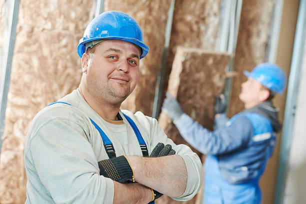 Best Crawl Space Insulation  in De Leon, TX